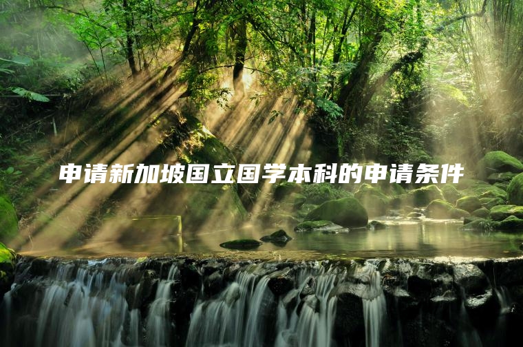 申请新加坡国立国学本科的申请条件