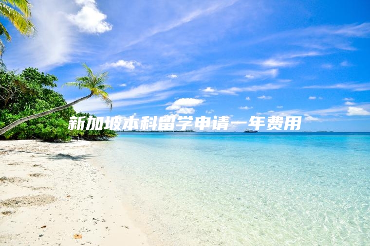 新加坡本科留学申请一年费用