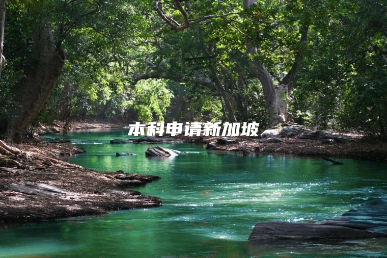 本科申请新加坡