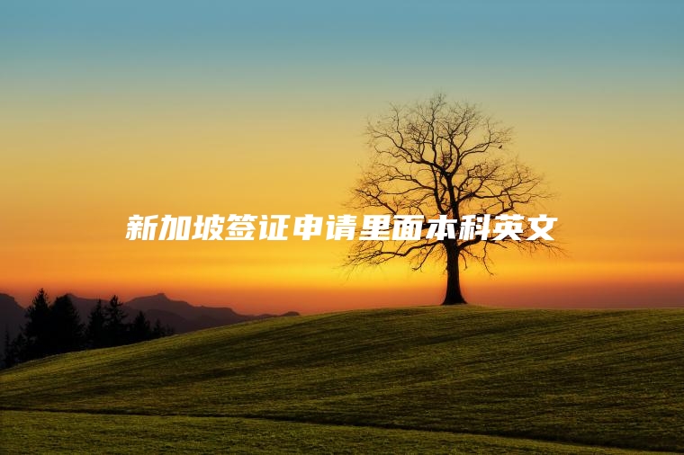新加坡签证申请里面本科英文