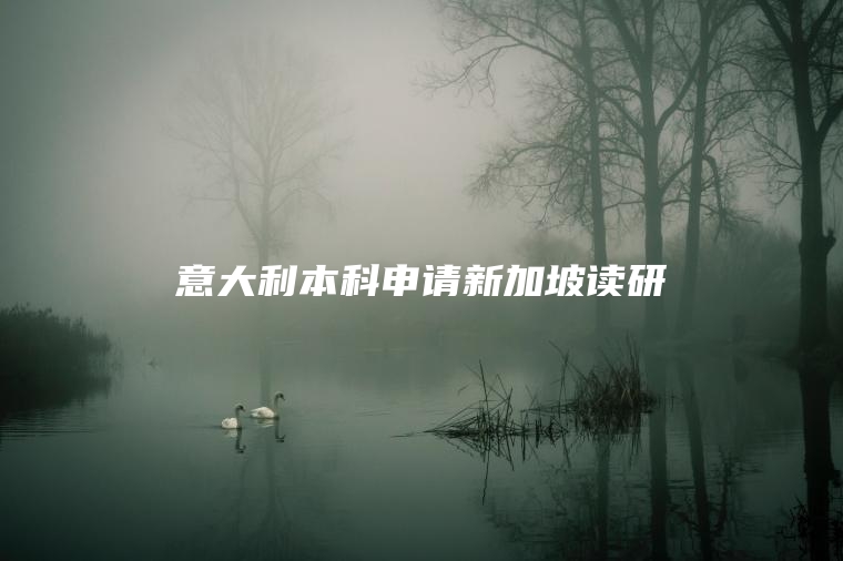 意大利本科申请新加坡读研