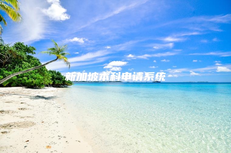 新加坡本科申请系统