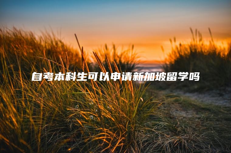 自考本科生可以申请新加坡留学吗