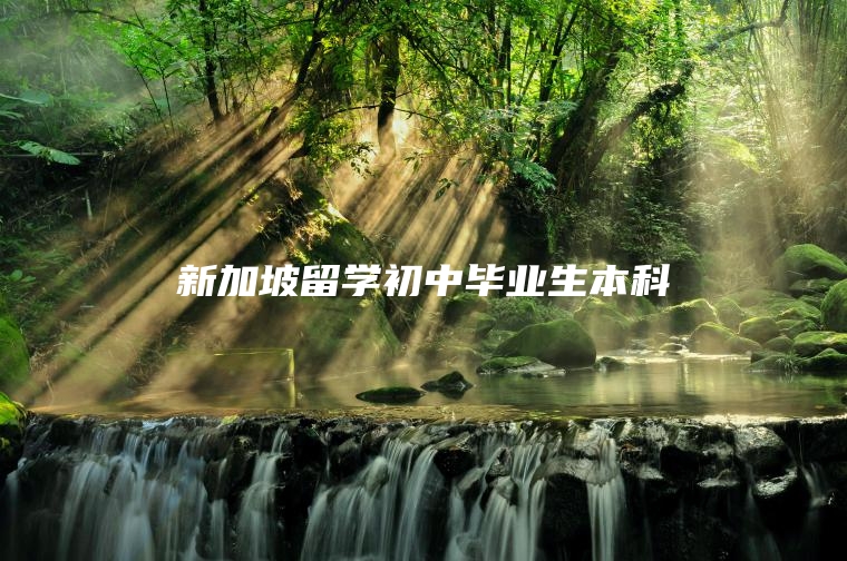 新加坡留学初中毕业生本科