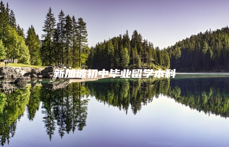 新加坡初中毕业留学本科