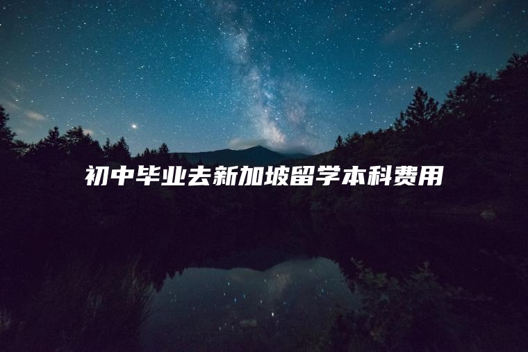 初中毕业去新加坡留学本科费用