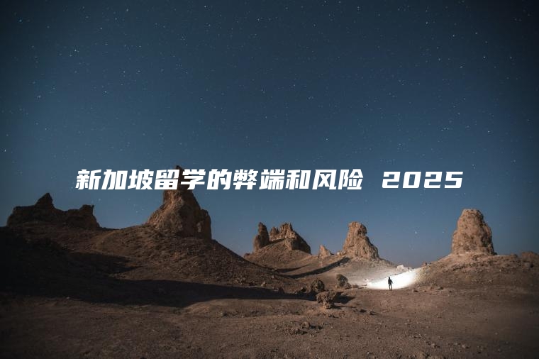 新加坡留学的弊端和风险 2025