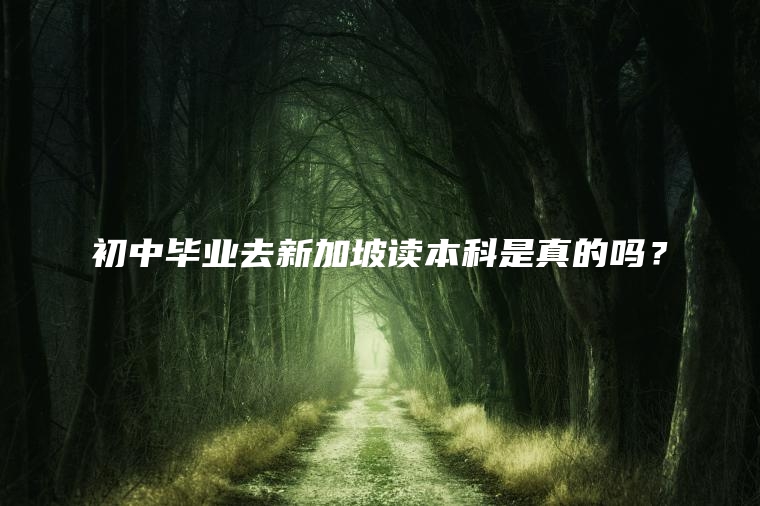 初中毕业去新加坡读本科是真的吗？