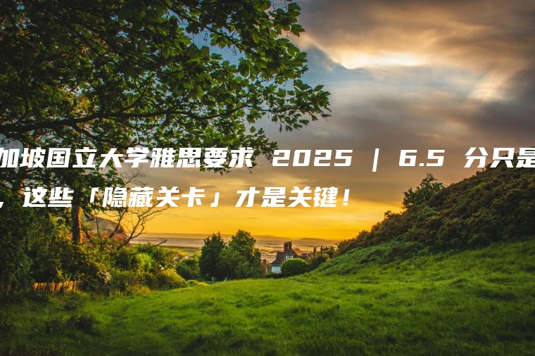 新加坡国立大学雅思要求 2025 | 6.5 分只是起点，这些「隐藏关卡」才是关键！