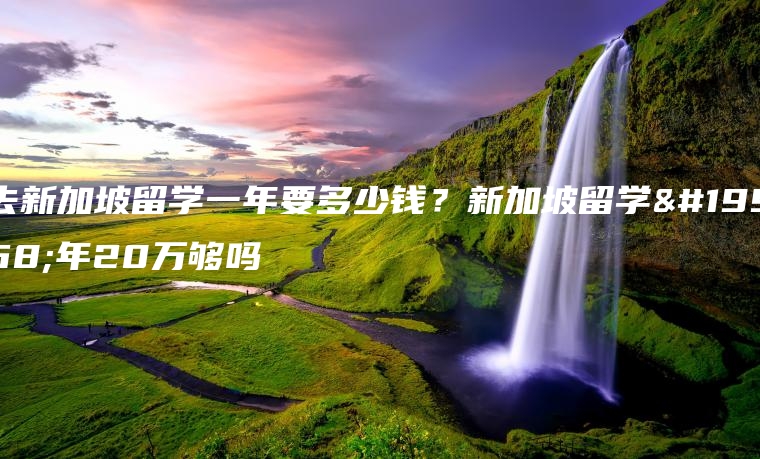 去新加坡留学一年要多少钱？新加坡留学一年20万够吗