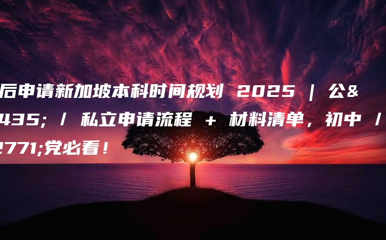 高考后申请新加坡本科时间规划 2025 | 公立 / 私立申请流程 + 材料清单，初中 / 高考党必看！