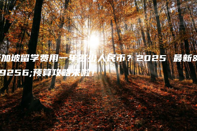 新加坡留学费用一年多少人民币？2025 最新版预算攻略来啦！