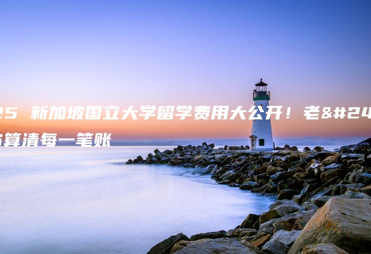 2025 新加坡国立大学留学费用大公开！老席帮你算清每一笔账