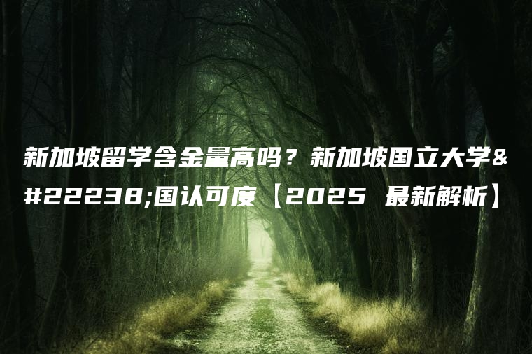 新加坡留学含金量高吗？新加坡国立大学回国认可度【2025 最新解析】