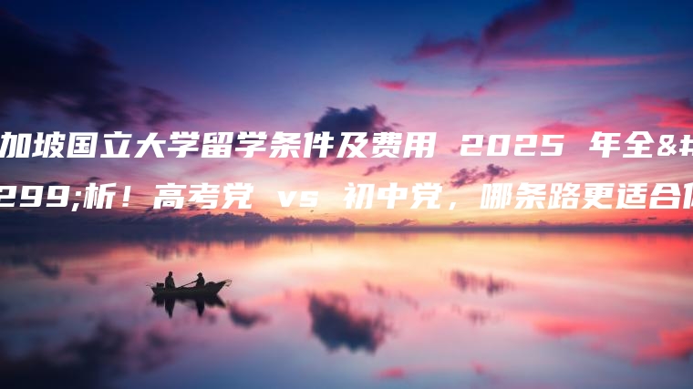 新加坡国立大学留学条件及费用 2025 年全解析！高考党 vs 初中党，哪条路更适合你？