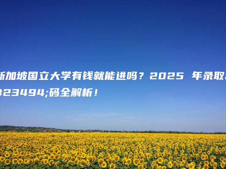 新加坡国立大学有钱就能进吗？2025 年录取密码全解析！
