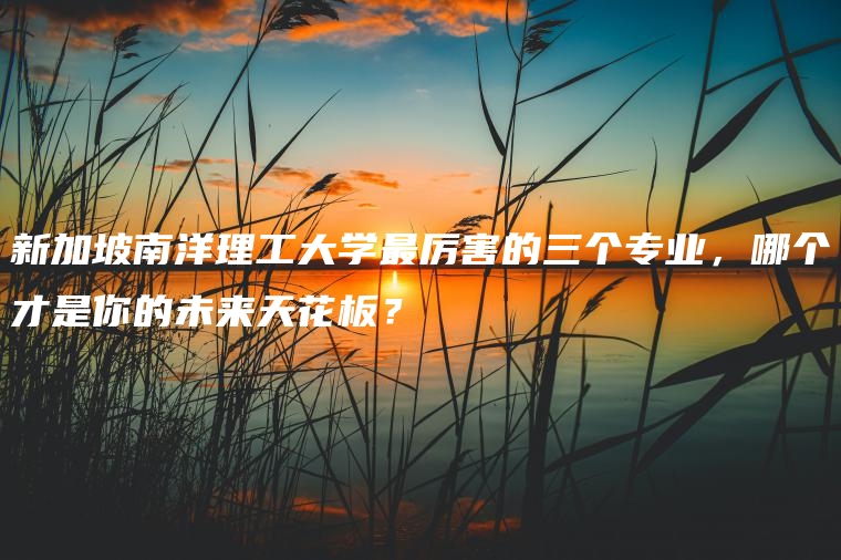 新加坡南洋理工大学最厉害的三个专业，哪个才是你的未来天花板？