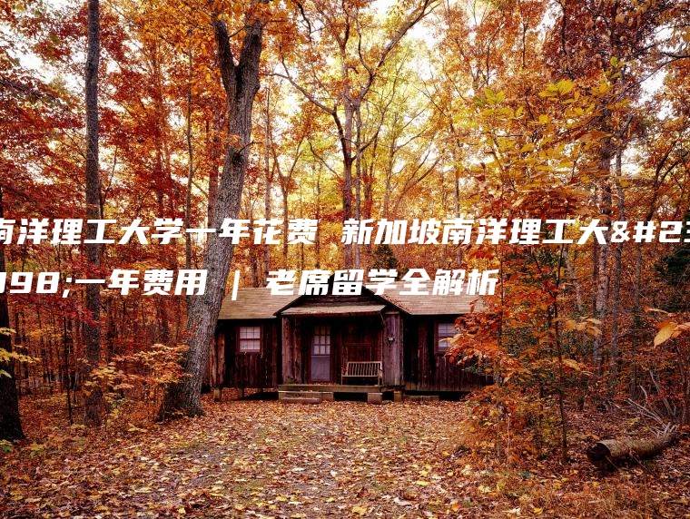 南洋理工大学一年花费 新加坡南洋理工大学一年费用 | 老席留学全解析