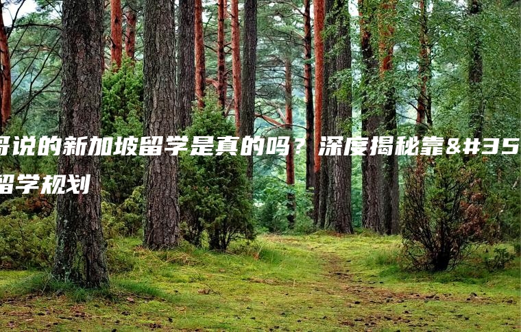席哥说的新加坡留学是真的吗？深度揭秘靠谱留学规划