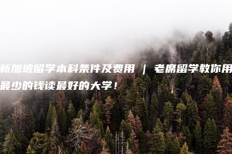 新加坡留学本科条件及费用 | 老席留学教你用最少的钱读最好的大学！
