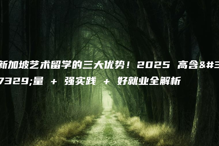 新加坡艺术留学的三大优势！2025 高含金量 + 强实践 + 好就业全解析