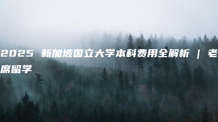 2025 新加坡国立大学本科费用全解析 | 老席留学