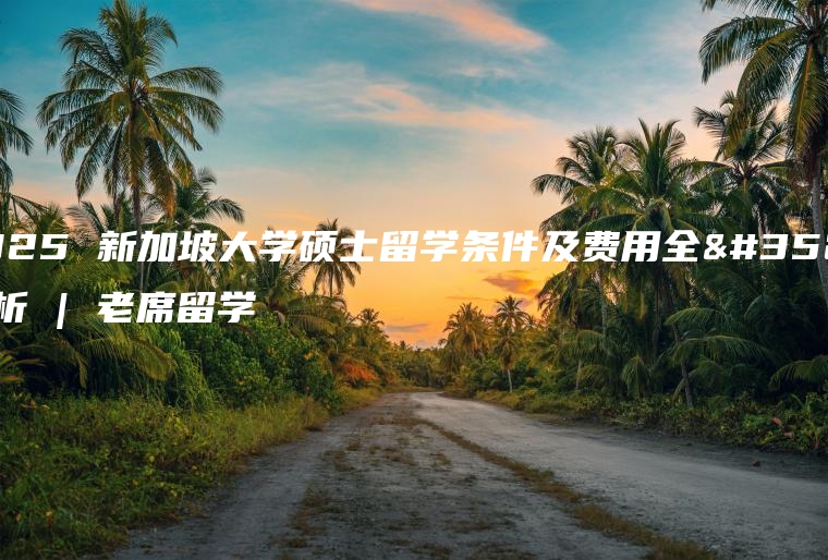 2025 新加坡大学硕士留学条件及费用全解析 | 老席留学