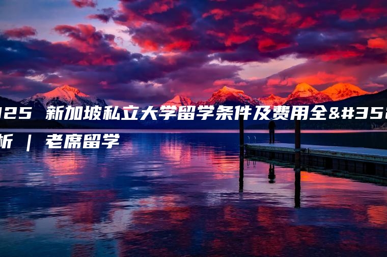 2025 新加坡私立大学留学条件及费用全解析 | 老席留学