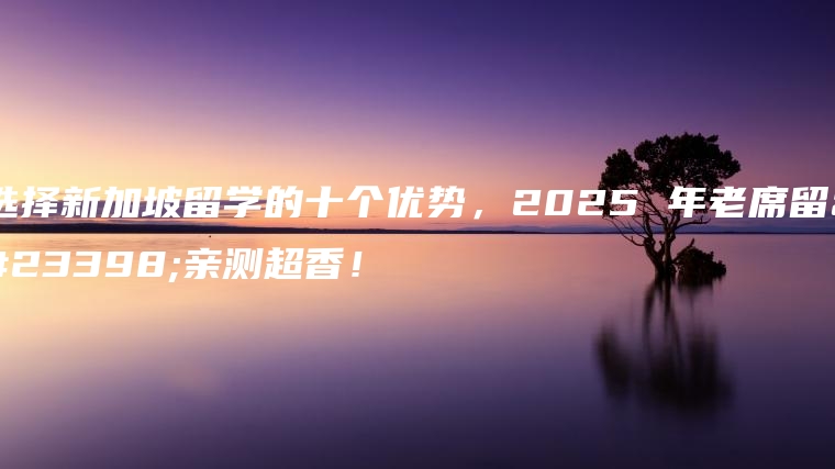 选择新加坡留学的十个优势，2025 年老席留学亲测超香！
