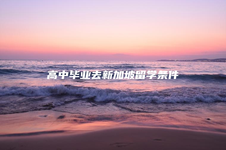 高中毕业去新加坡留学条件
