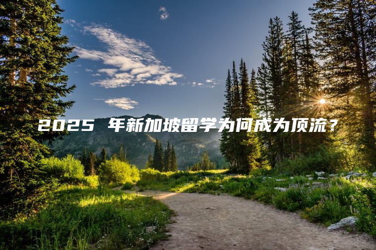 2025 年新加坡留学为何成为顶流？