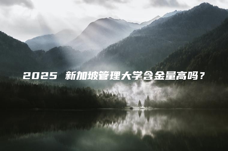 2025 新加坡管理大学含金量高吗？