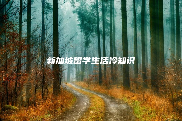 新加坡留学生活冷知识