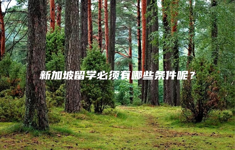 新加坡留学必须有哪些条件呢？