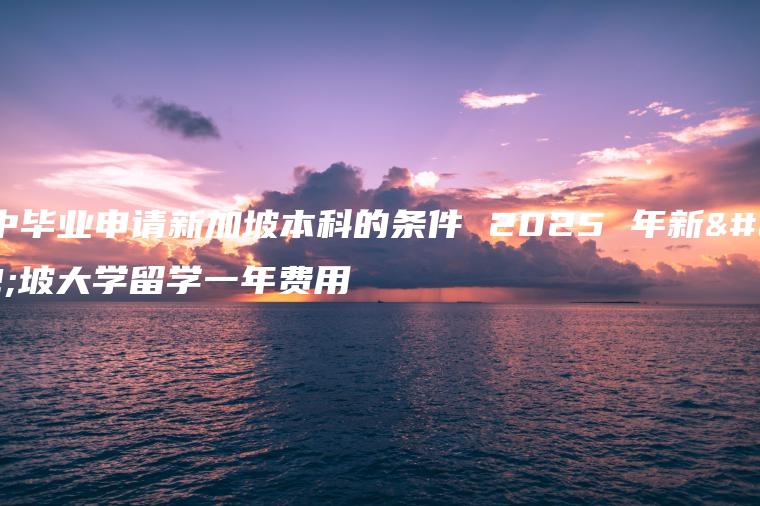 初中毕业申请新加坡本科的条件 2025 年新加坡大学留学一年费用
