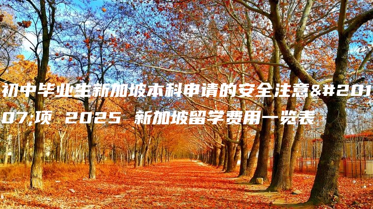 初中毕业生新加坡本科申请的安全注意事项 2025 新加坡留学费用一览表