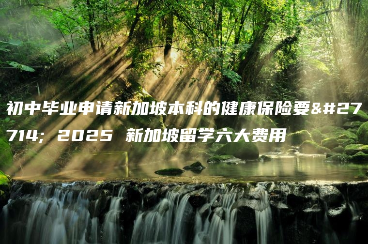 初中毕业申请新加坡本科的健康保险要求 2025 新加坡留学六大费用