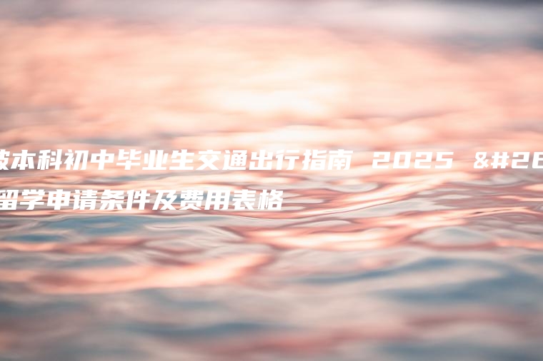 新加坡本科初中毕业生交通出行指南 2025 新加坡留学申请条件及费用表格