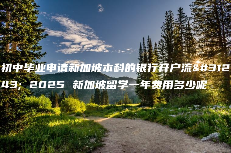 初中毕业申请新加坡本科的银行开户流程 2025 新加坡留学一年费用多少呢